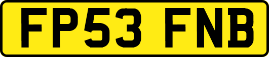 FP53FNB