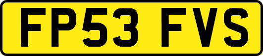 FP53FVS