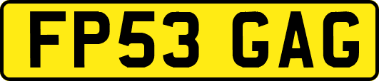 FP53GAG
