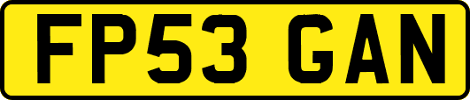 FP53GAN