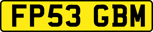 FP53GBM