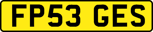 FP53GES