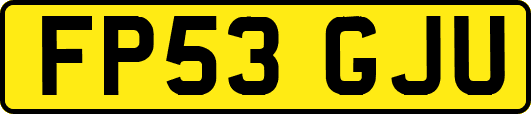 FP53GJU