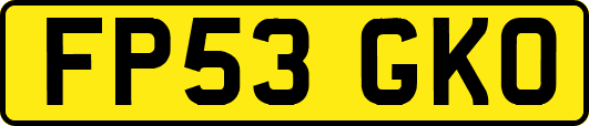 FP53GKO