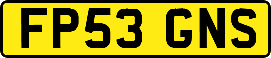 FP53GNS