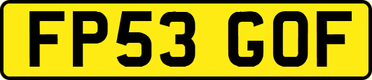 FP53GOF