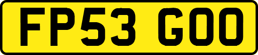 FP53GOO