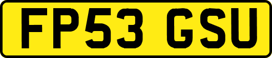 FP53GSU