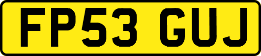 FP53GUJ
