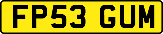 FP53GUM