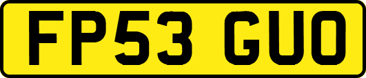 FP53GUO