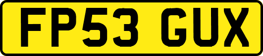 FP53GUX