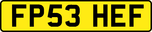 FP53HEF