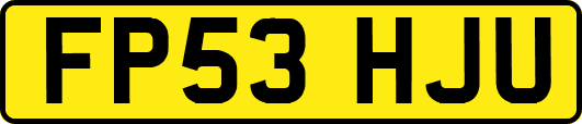 FP53HJU