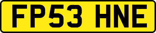 FP53HNE