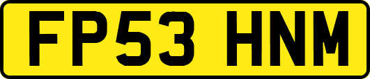 FP53HNM