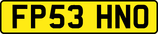 FP53HNO