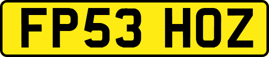 FP53HOZ