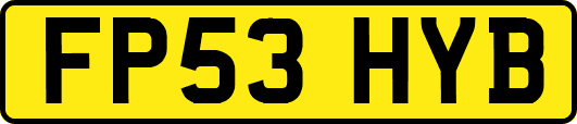 FP53HYB