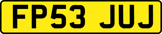 FP53JUJ