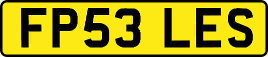 FP53LES