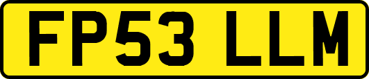 FP53LLM