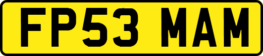 FP53MAM