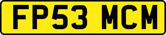 FP53MCM