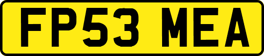 FP53MEA