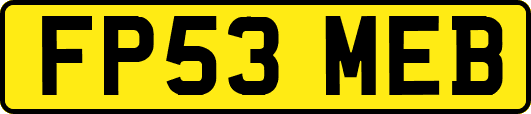 FP53MEB