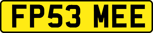 FP53MEE