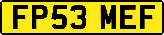 FP53MEF