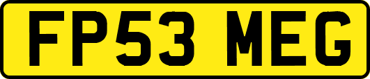 FP53MEG