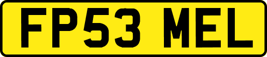 FP53MEL