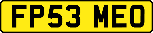 FP53MEO
