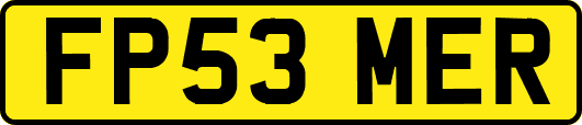 FP53MER