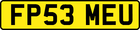 FP53MEU