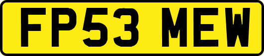 FP53MEW