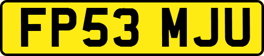 FP53MJU