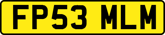 FP53MLM