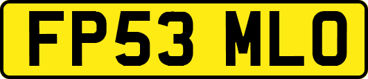 FP53MLO