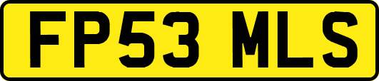 FP53MLS