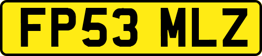 FP53MLZ