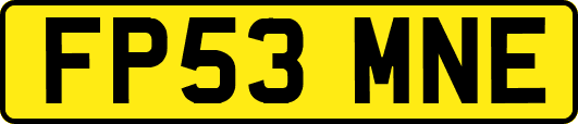 FP53MNE