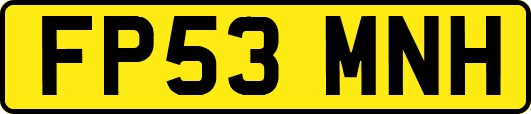 FP53MNH