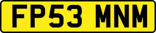 FP53MNM