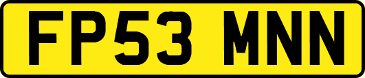 FP53MNN
