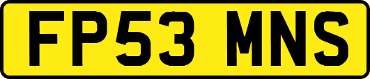 FP53MNS