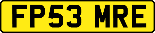 FP53MRE