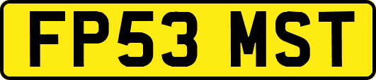 FP53MST